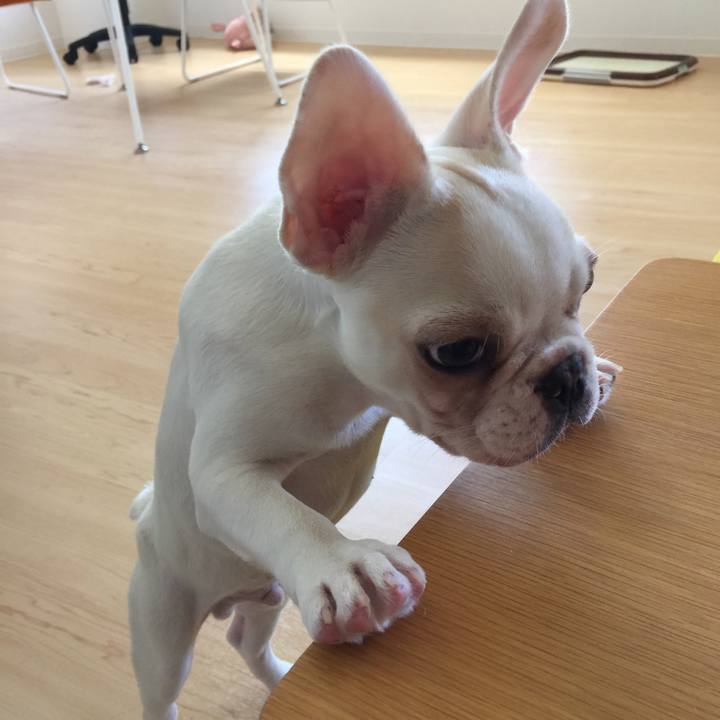 A195850e c937 41aa a670 0e52349d5507