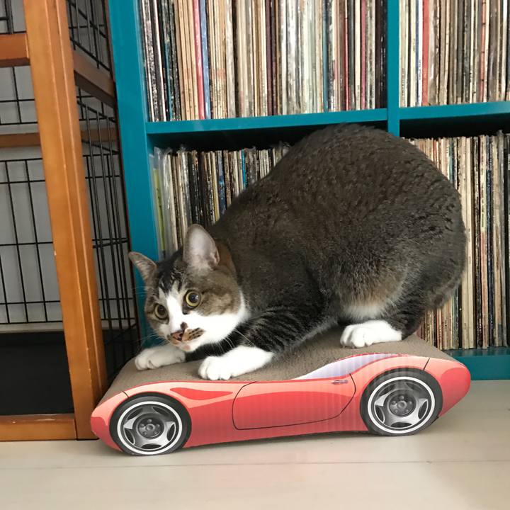 A195a77e 4d06 4f71 b1aa 3078bded7009