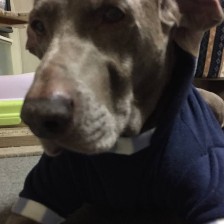 A195b443 6370 40c7 bf34 a4db07d162db