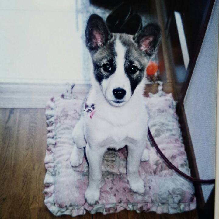 A195c741 e7cb 4859 90e9 79a7367d83b7