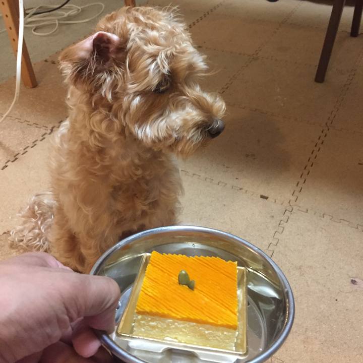 A1961ce6 fcdc 4e48 82d9 73b66b2e728e