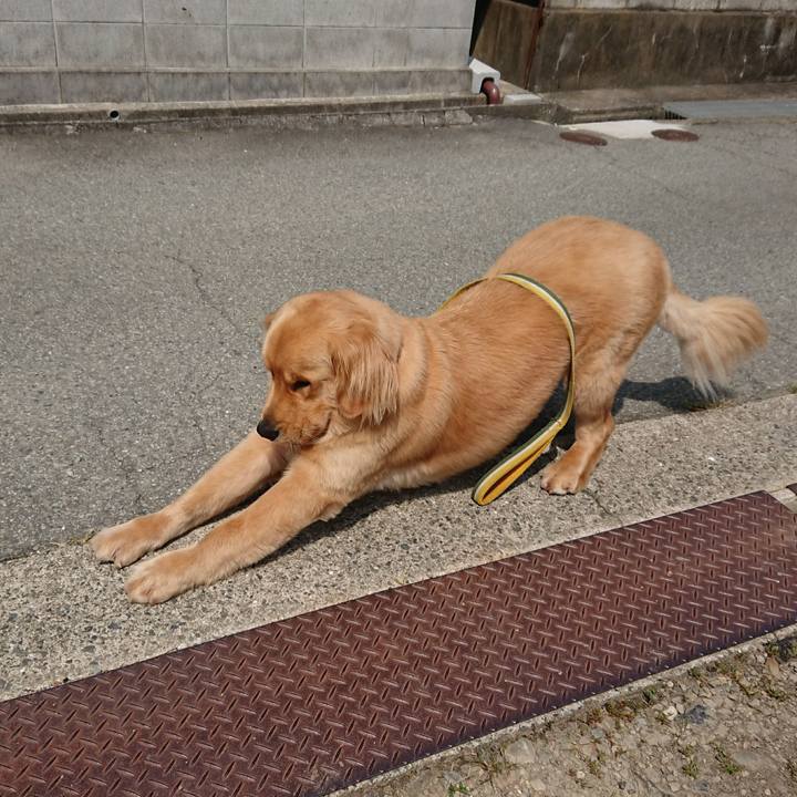 A1964357 1ba4 423e a83d 39d4ec2d9e82