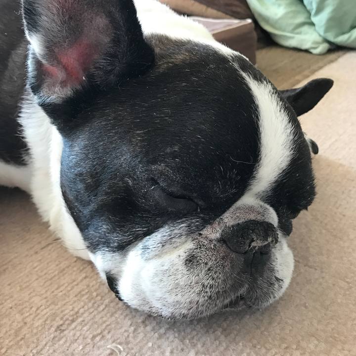 A1966bc9 9c60 4717 a7f1 b5eb33bd4cdd