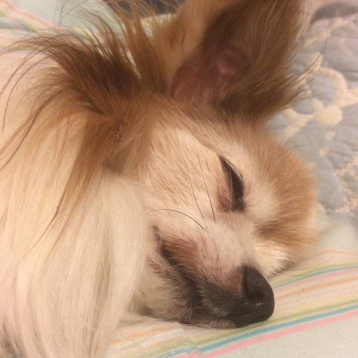 A196dae9 618e 4d64 acc4 d2469349f84b