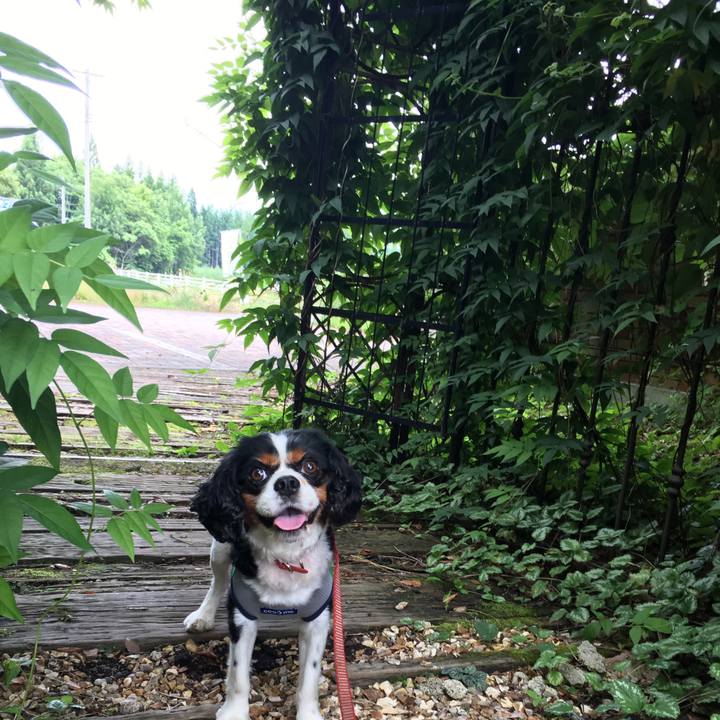 A197b655 7ff6 4673 bdc2 011c0b5d785a