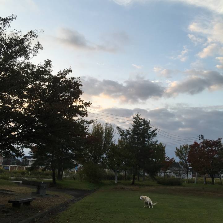 A197fbe4 e8ef 4479 8b36 c6f6f2821662