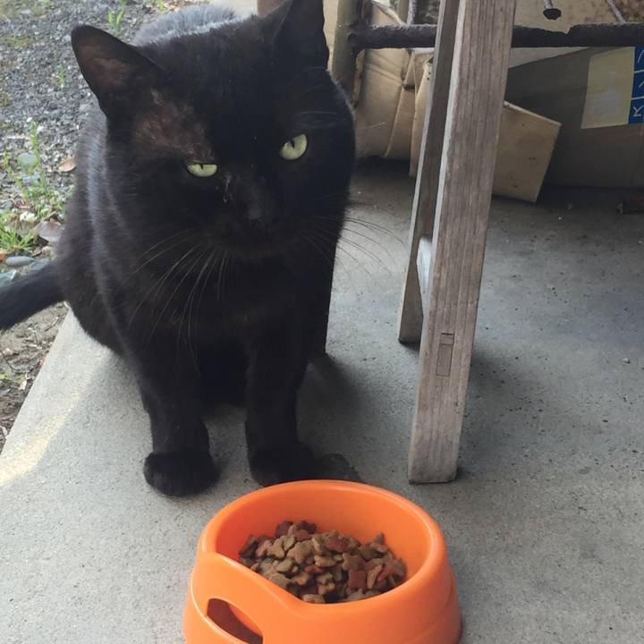 A1984411 fc94 4a9a a8fb 6b9b76d0fadc