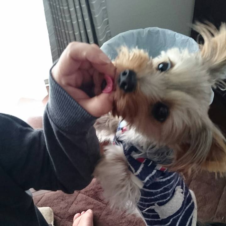 A1984456 f653 478f a993 fc6befb47e83