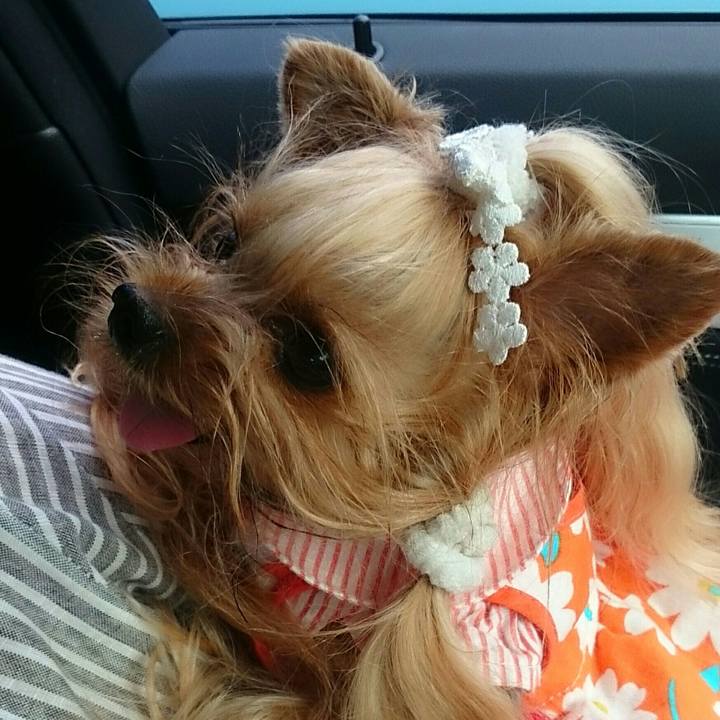 A199a1e4 2600 46ca 816e a93bfe762d0b