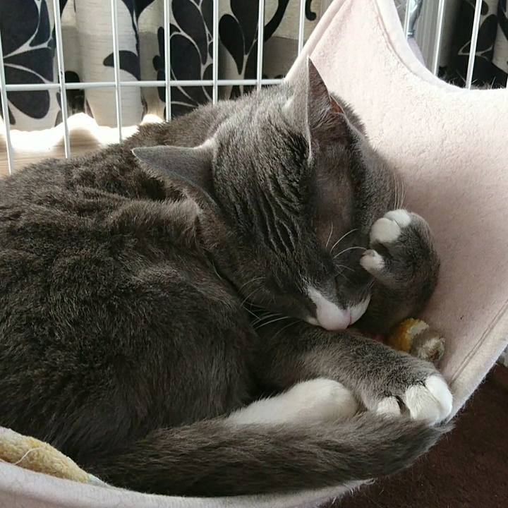 A199b800 af53 4fa2 b482 4bb562df3995