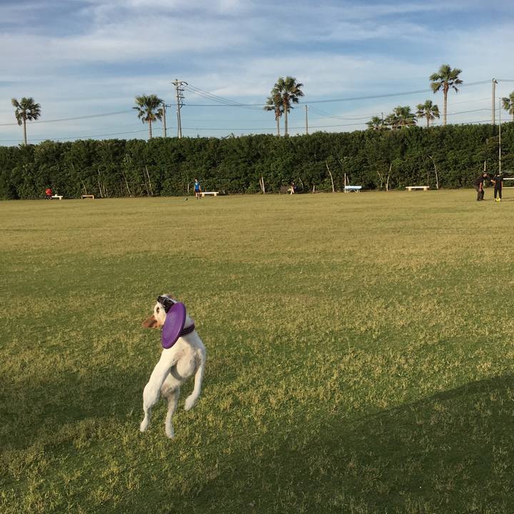 A19af8ed ddf8 4907 83da 0adcbf26e7c4