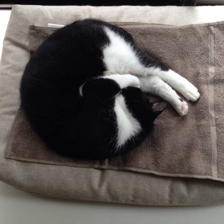 A19b1027 f62d 44be 9476 7b8b34de00d8