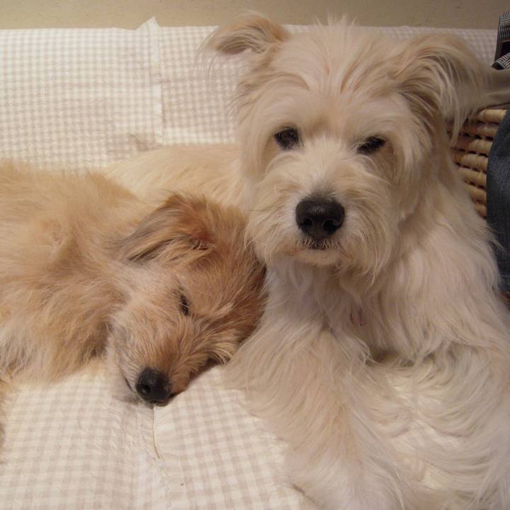 A19b4d34 1985 43de aa9c d92d0fafd095