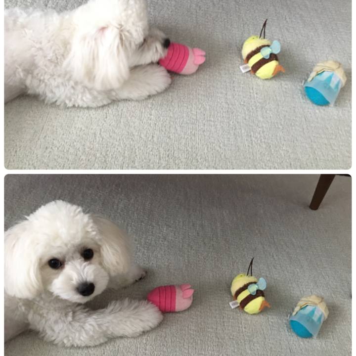 A19be9ac 0f12 4fcd b6b3 616d2eadcb3b