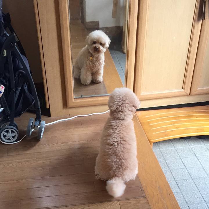 A19c22dd c22e 45c0 aa37 68f2cf21f9bc