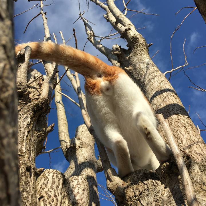 A19c3972 d596 4e11 83c8 6188ceb8b9a0