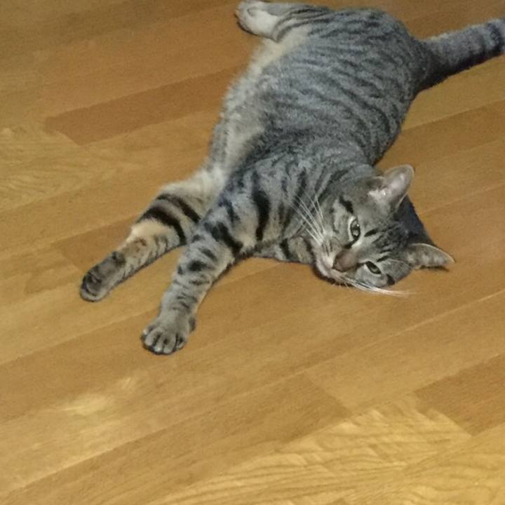 A19c3c5e a60b 4f69 8ef2 5c4818119915