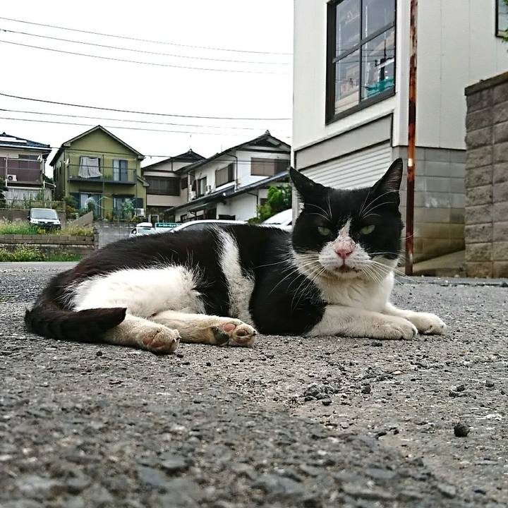 A19c9284 08ea 41d4 bb87 e93b075e480e