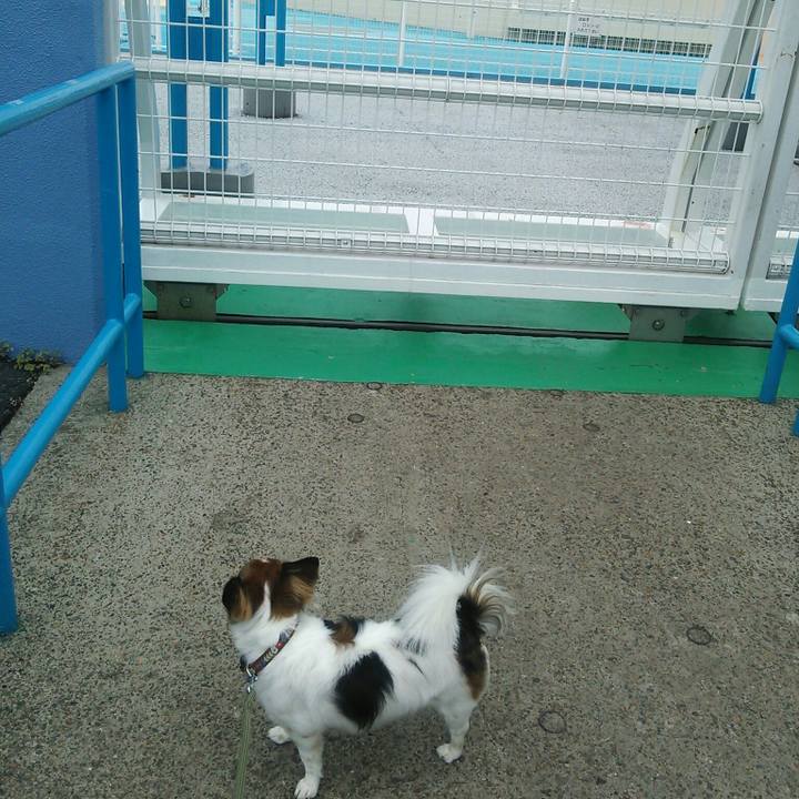 A19d1180 76a5 4a23 80da ed5c9ec8a7be