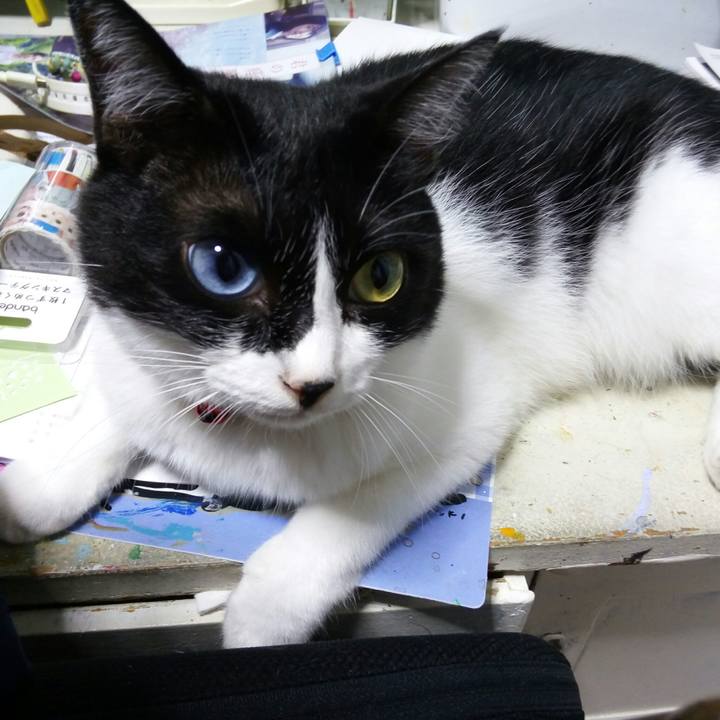 A19d529c 7173 4da6 be17 344a61e6936d