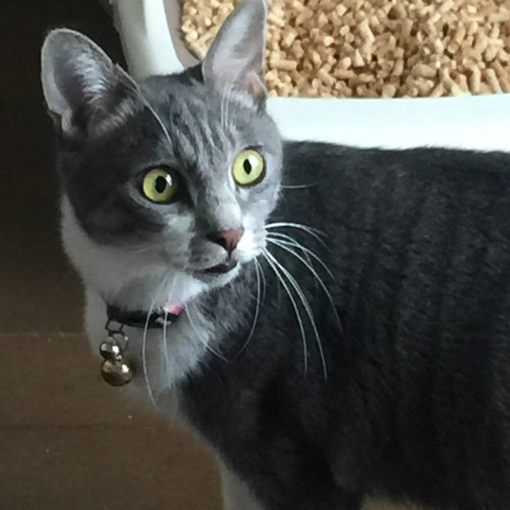 A19d6c99 0ed3 44c1 a371 b6faa19c38c8