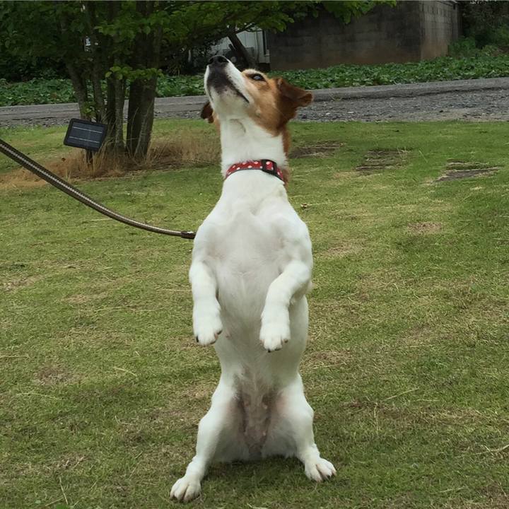 A19e7548 6c4d 4c89 a34d 3cf151878035