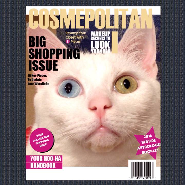 A19ecb9c 2a0a 41d3 bb15 5989c2928582