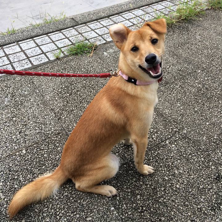 A19eefd5 df81 444d a5bb 752ef0c3d226