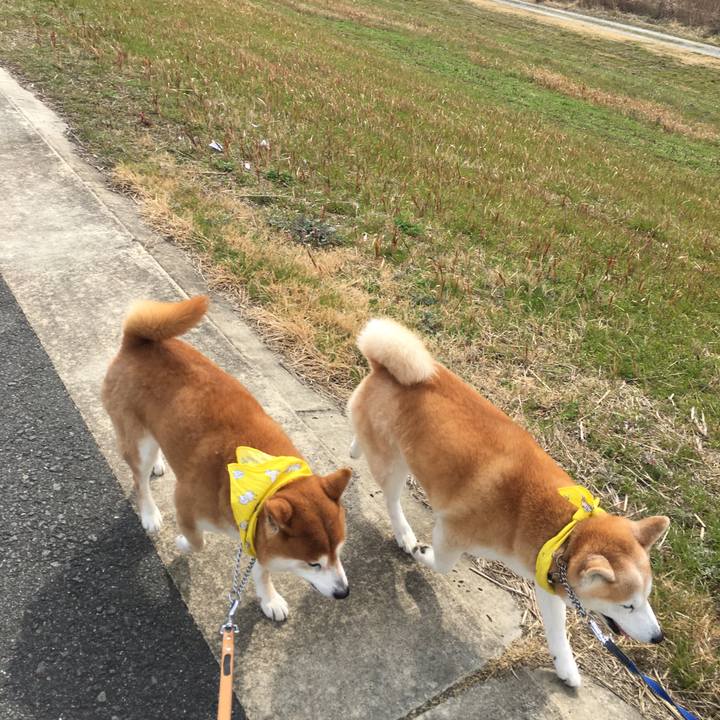 A19f44b3 c007 4a1f 8143 2237d06a2af8