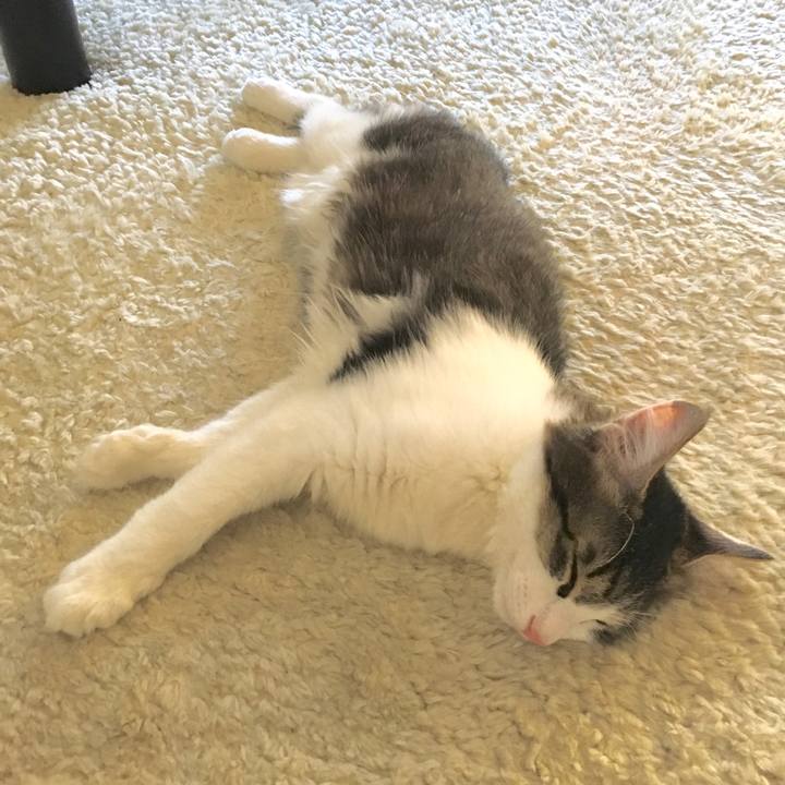 A19f68df 16e1 45f7 840e 943db8c08669