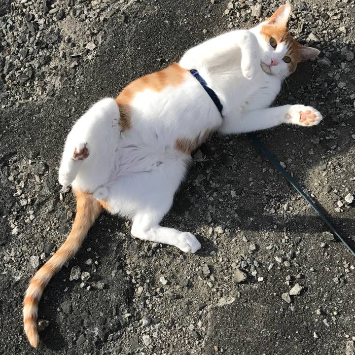 A19f6e2a 6ad2 4bfd a257 0d8c34eb6ea1