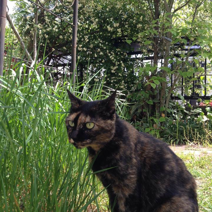 A19fdf92 8a54 43c7 b5fe cf34db214379