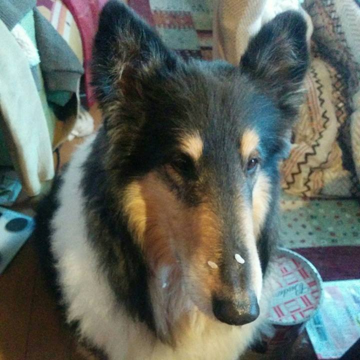 A1a01753 749c 49ec 86c3 d044f2a2f260