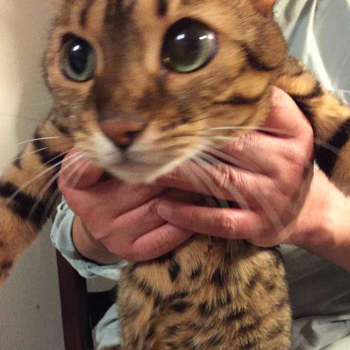 A1a025a7 2f01 422d 9473 140c1dbe2135