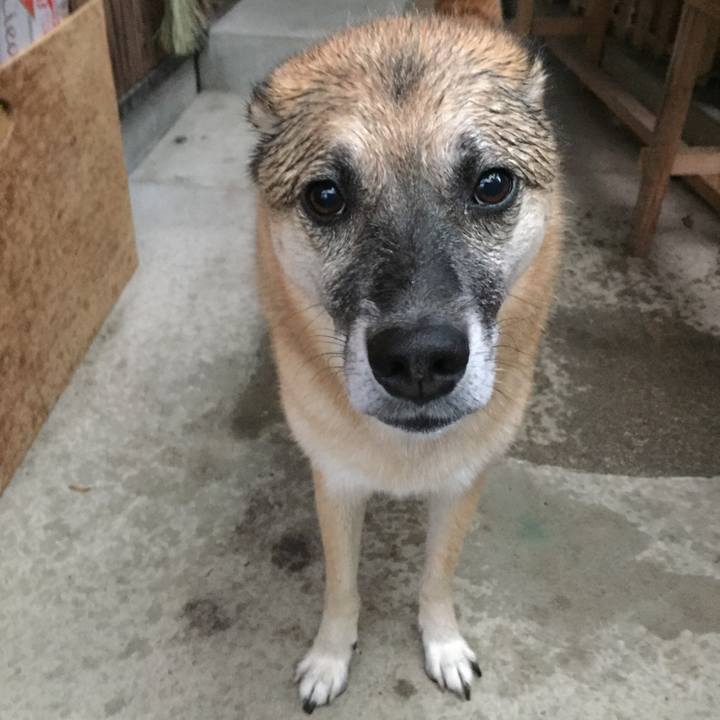 A1a0a5b5 a446 4054 8ccd fa0442f780ff