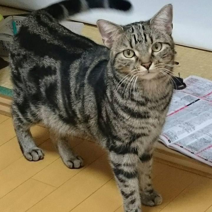 A1a26053 f7f9 4892 add9 007dbf532b4a