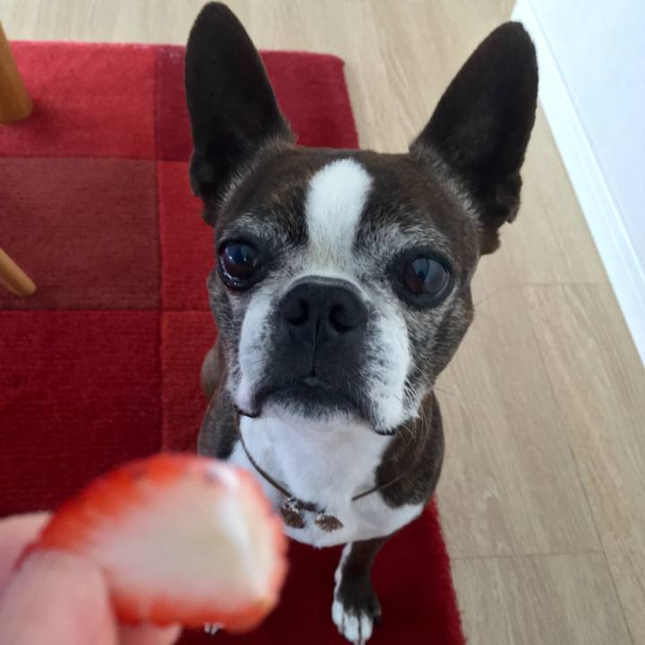 A1a32efe 654e 4579 8e02 24f2c2a036e4