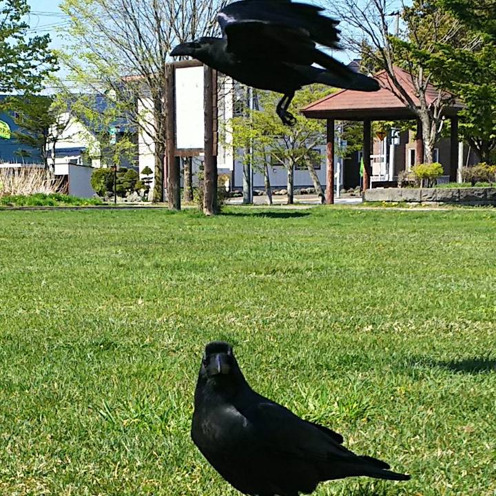 A1a346ba 604f 4709 ae2e 624540d3f3ba