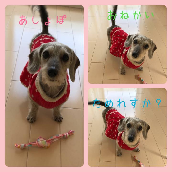 A1a3ebe6 f22a 47bb bcde 4fa96aad6d48