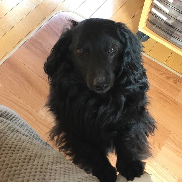 A1a3f159 90e8 4abe aa91 896c4c5dec68