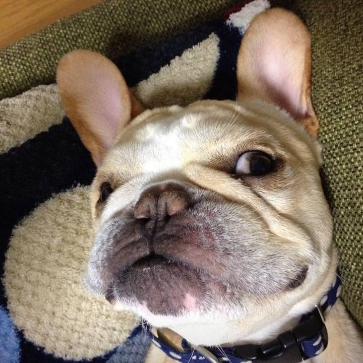 A1a4dbaf 2fd3 4e2a bbe1 0e4d3a02afc5