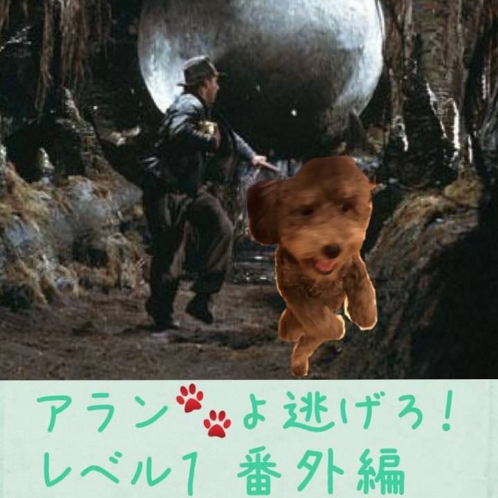 A1a4de61 d1b7 4fef 94ef f099685d2de9