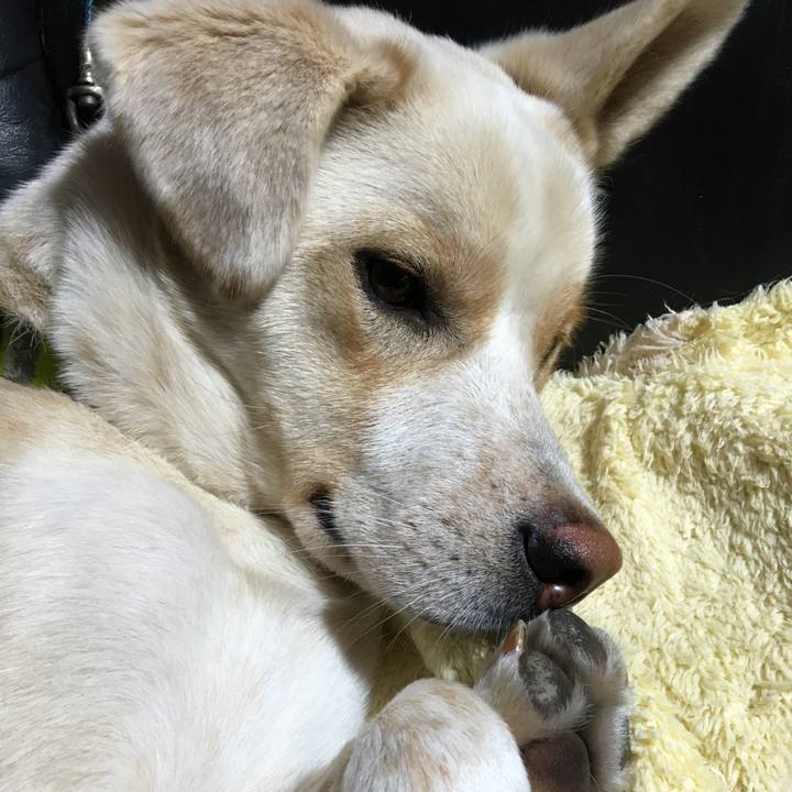 A1a50ede 8b51 4235 9bc7 5bfe456cdfa9