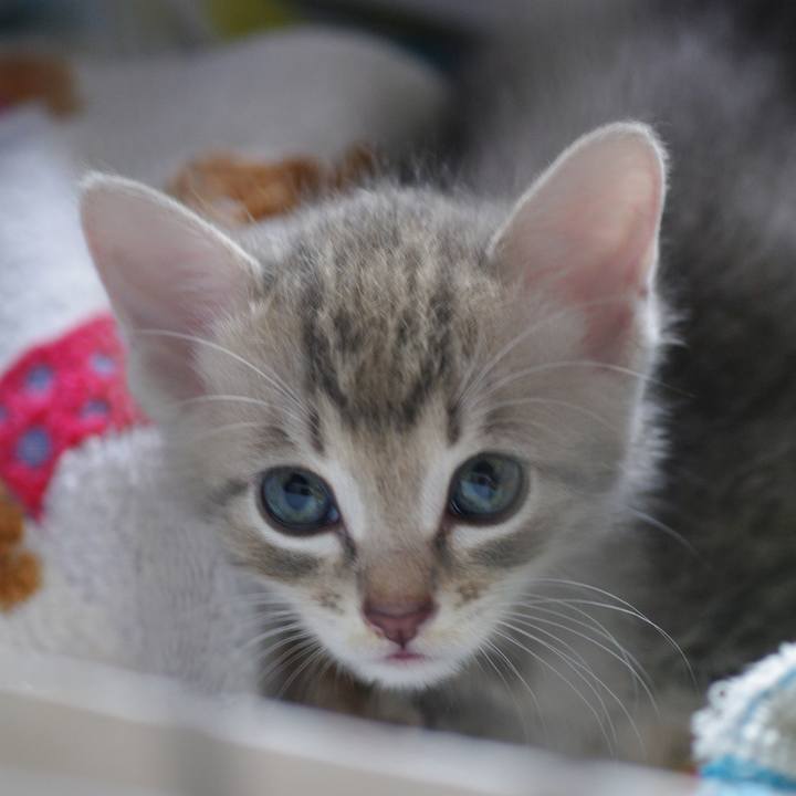 A1a53fb0 d9f3 4e3b ae33 d6e6521fc6ee