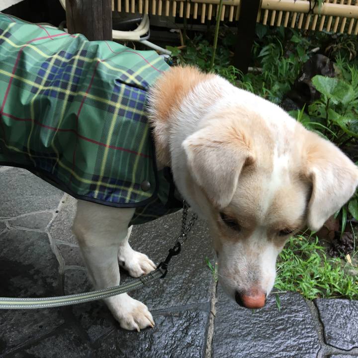 A1a5bf60 89a8 431b bcdf d21a84e169ab