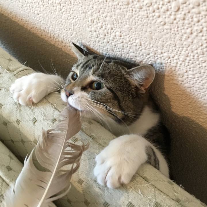 A1a5dc4d a676 484e be88 797f76ee94bc