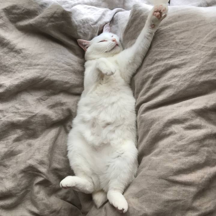 A1a61280 bd01 4c9c 902f 03cef872b5a1