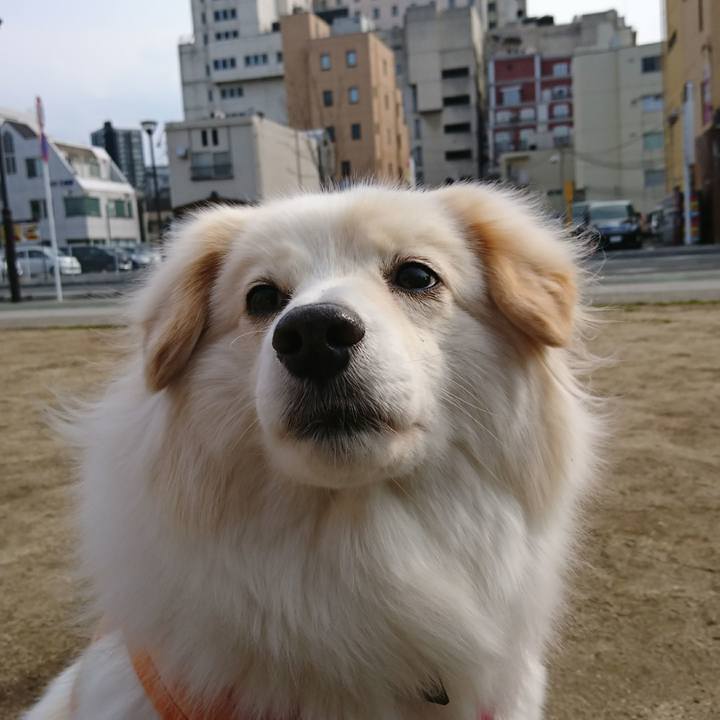 A1a6b328 3937 4cf5 bcd8 a76f4d002823