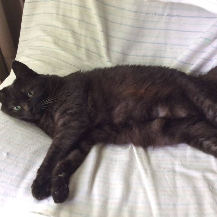 A1a757b9 47bd 4860 bcfd 9958ea752173