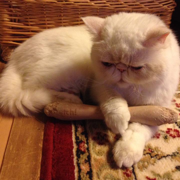 A1a765d0 fd53 4fb6 8fcb 2d4c20cdee92